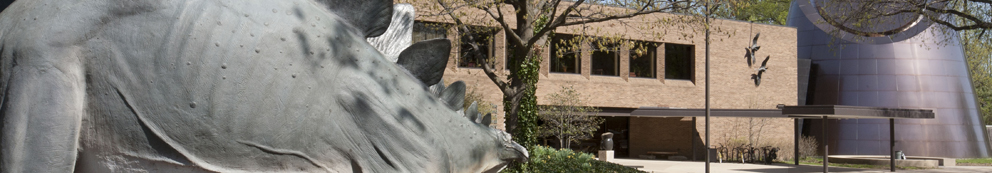 The King of Dinosaurs